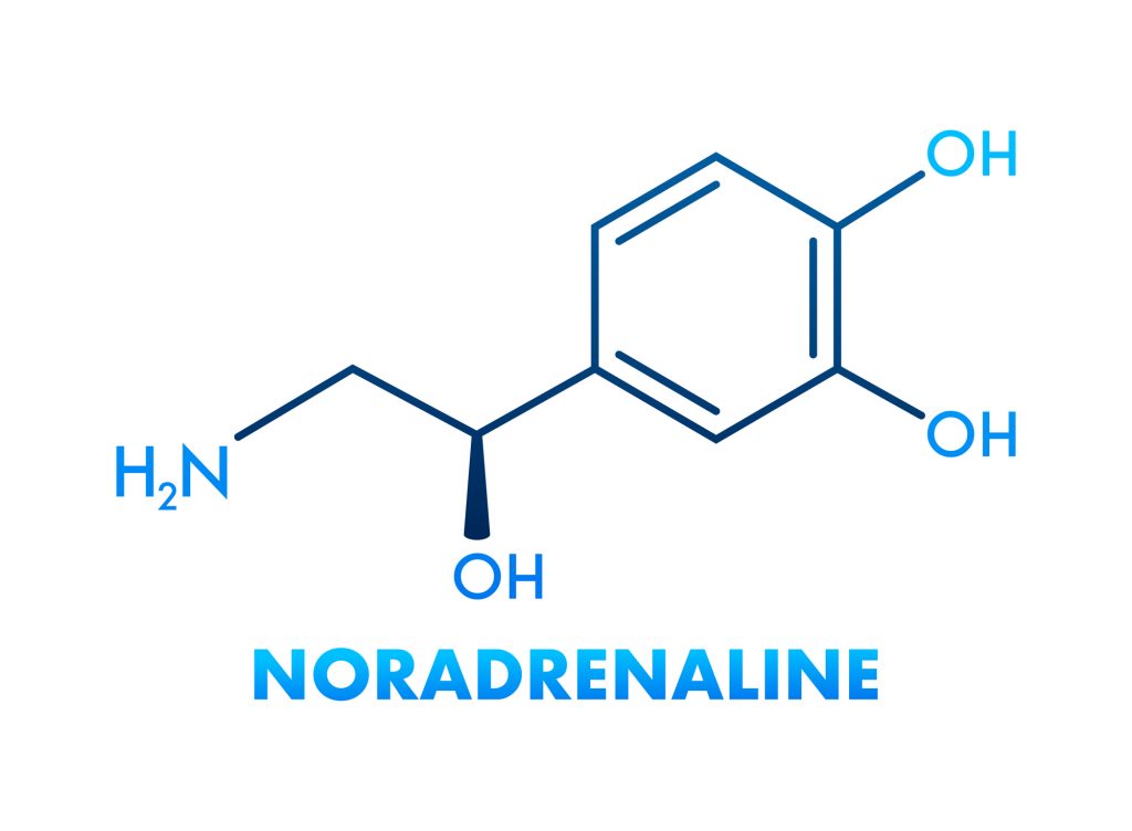 ノルアドレナリンの特徴と過剰分泌・不足した時の不具合