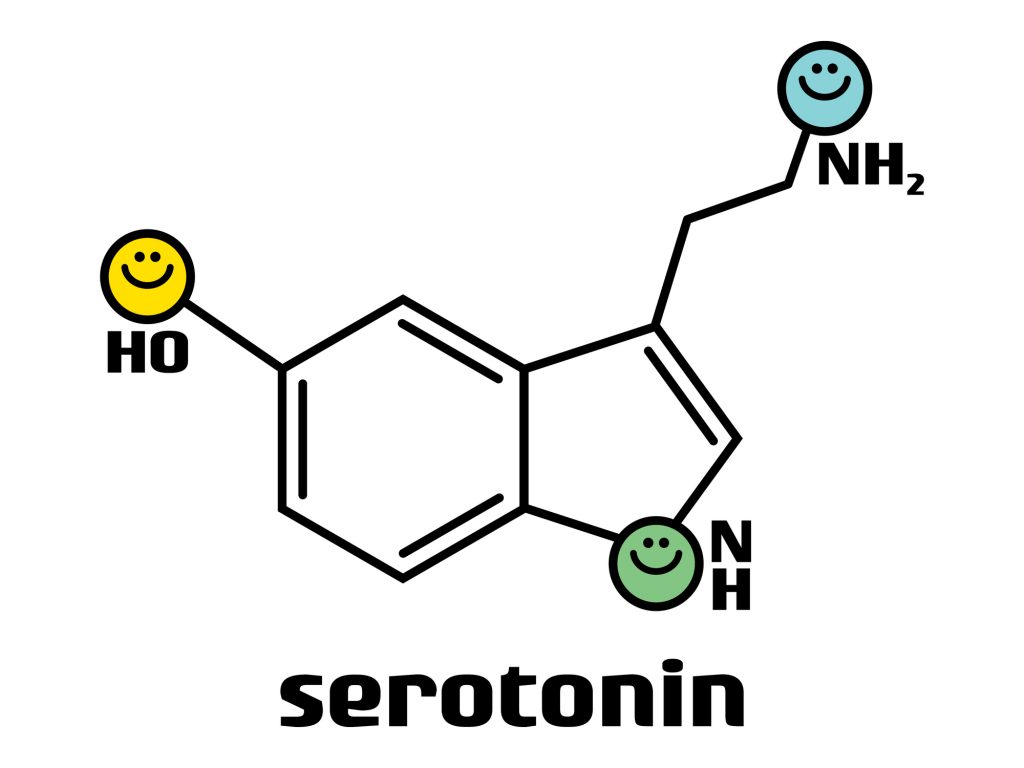 セロトニンの特徴と過剰分泌・不足した時の不具合