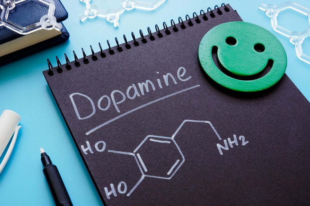 ドーパミンの特徴と過剰分泌・不足した時の不具合