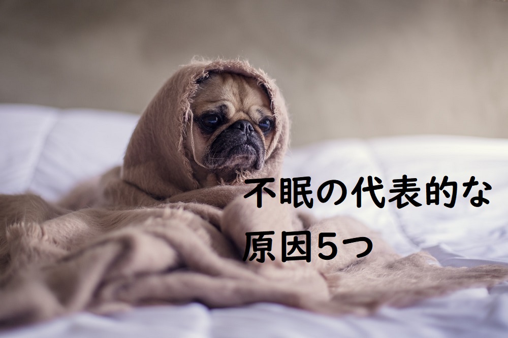 眠たい の に 寝れ ない